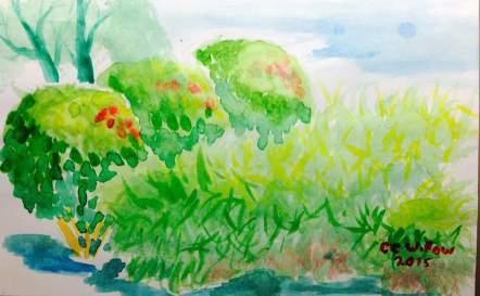 CC Willow watercolor Lunch Hour art