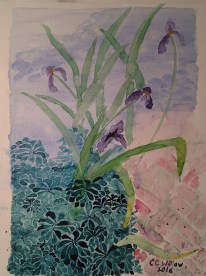 iris-at-gaiety-hill-watercolor-3