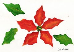 Poinsetta by CC Willow