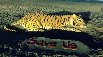 Tiger Save Us