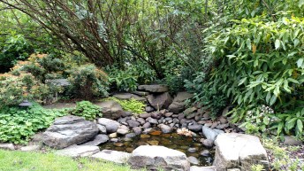 IMG_20170603_133347137