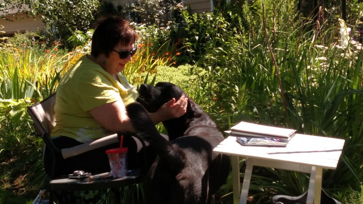 IMG_20170729_140737049