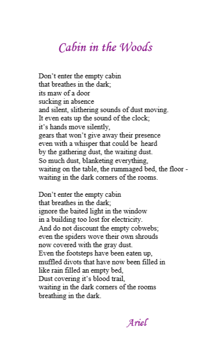 Cabin in the Woods by Ariel