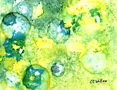 Chaos by Pacific NW artist CC Willow