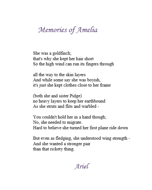 Memories of Amelia by Ariel