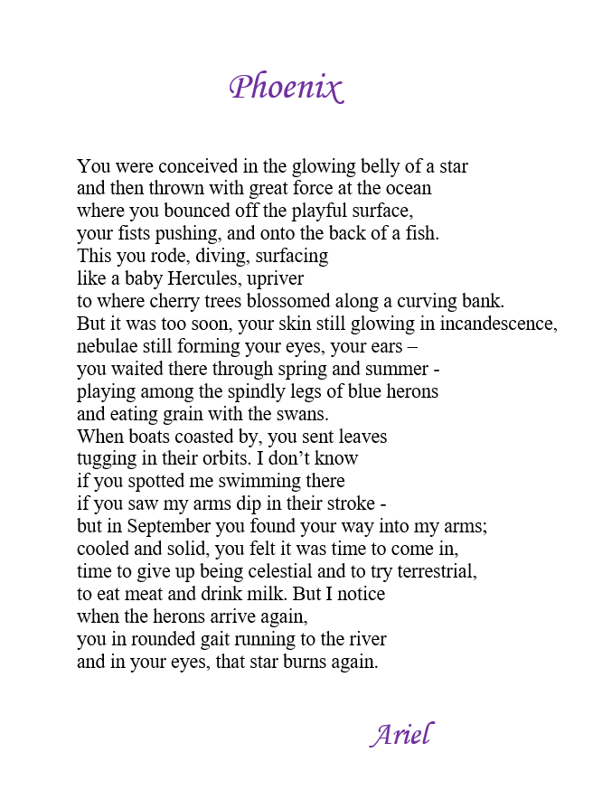 Phoenix poem by Pacific NW poet