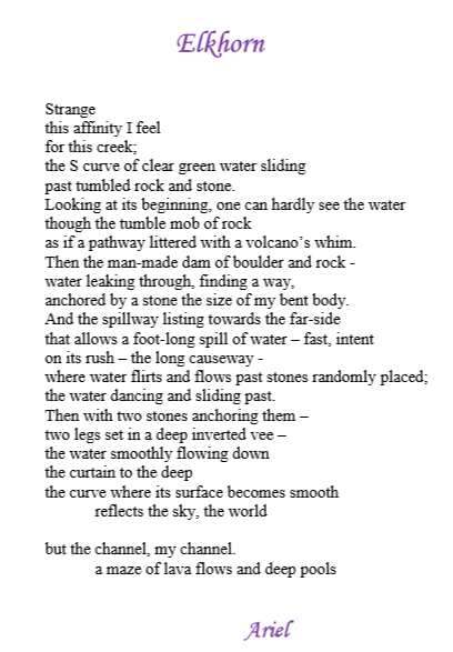 Elkhorn pub 20190103