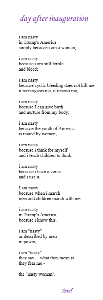 Day After Inauguration by Ariel