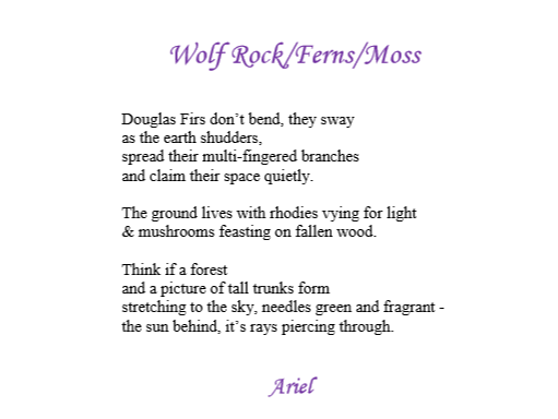 Wolf Rock Fern Moss by Ariel