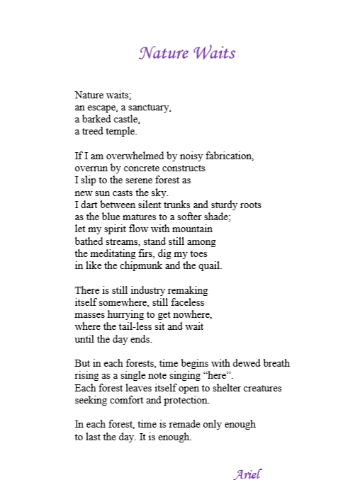 Nature Waits by Ariel