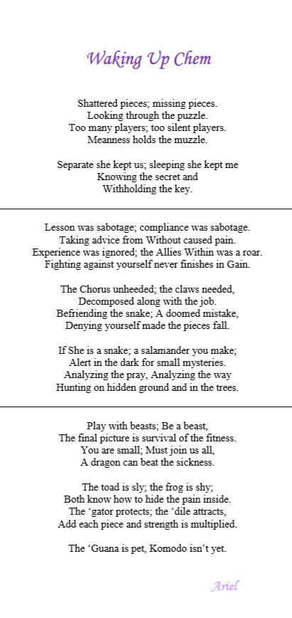 Waking Up Chem by Ariel