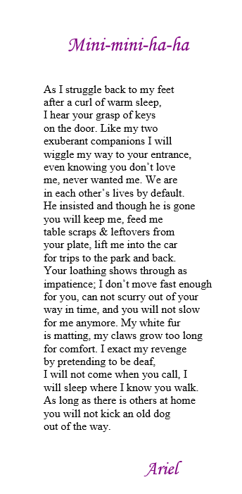 Miniminihaha By Ariel